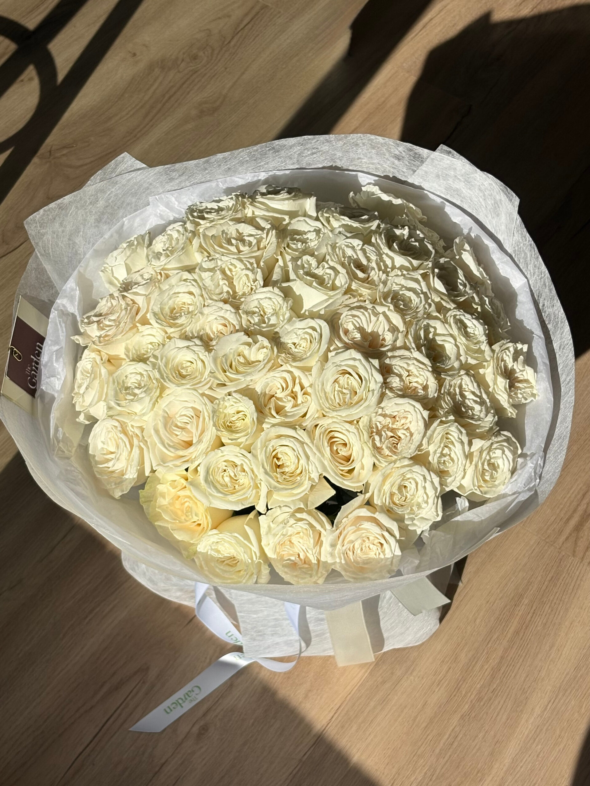 b994b350-304d-4918-a770-a4ae2d994fc6 Playa Blanca - Image 1