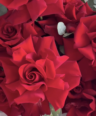 French Roses Red - Image 2