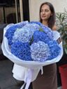 Hortensias Bleus