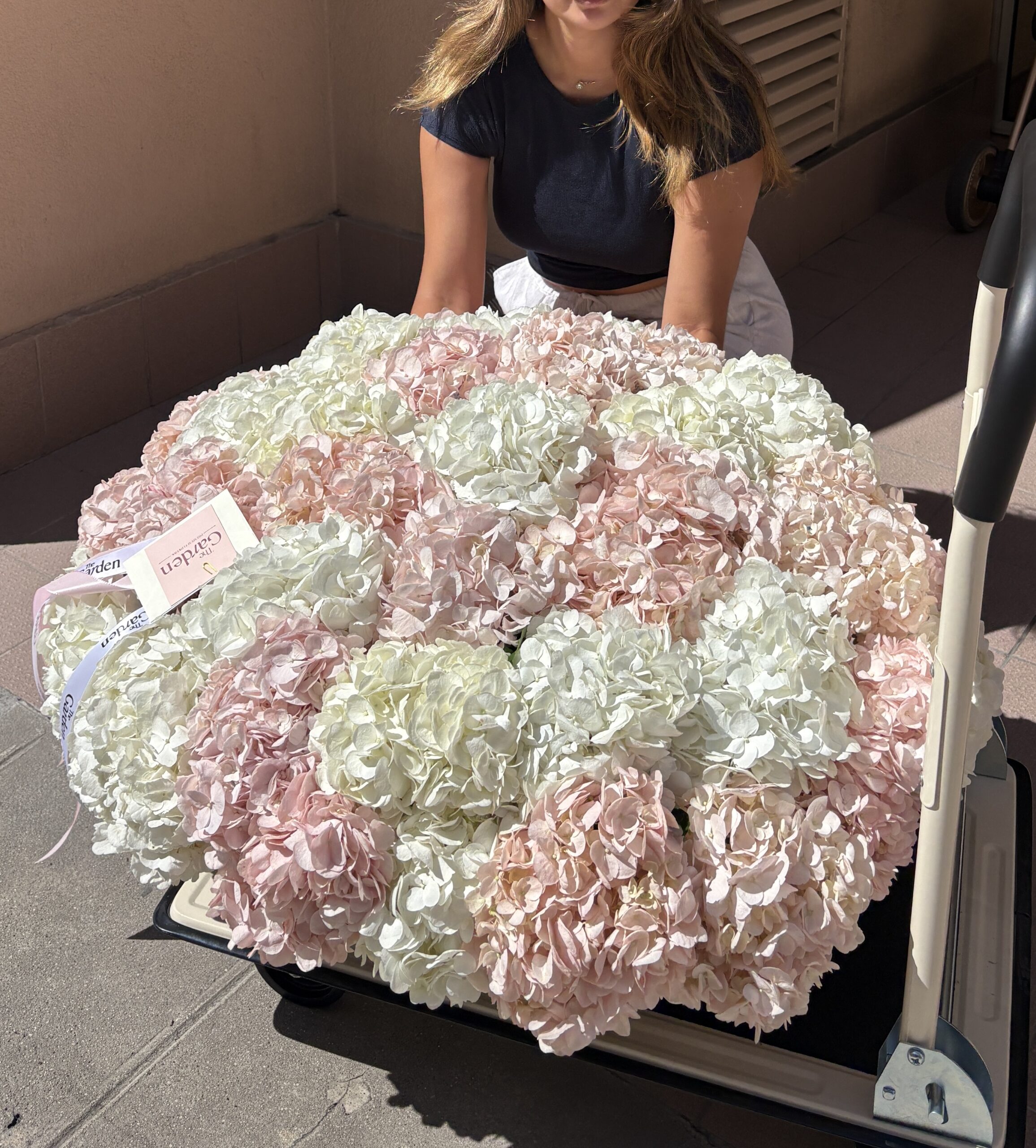 IMG_3966 Cloud of Hydrangeas - Image 1