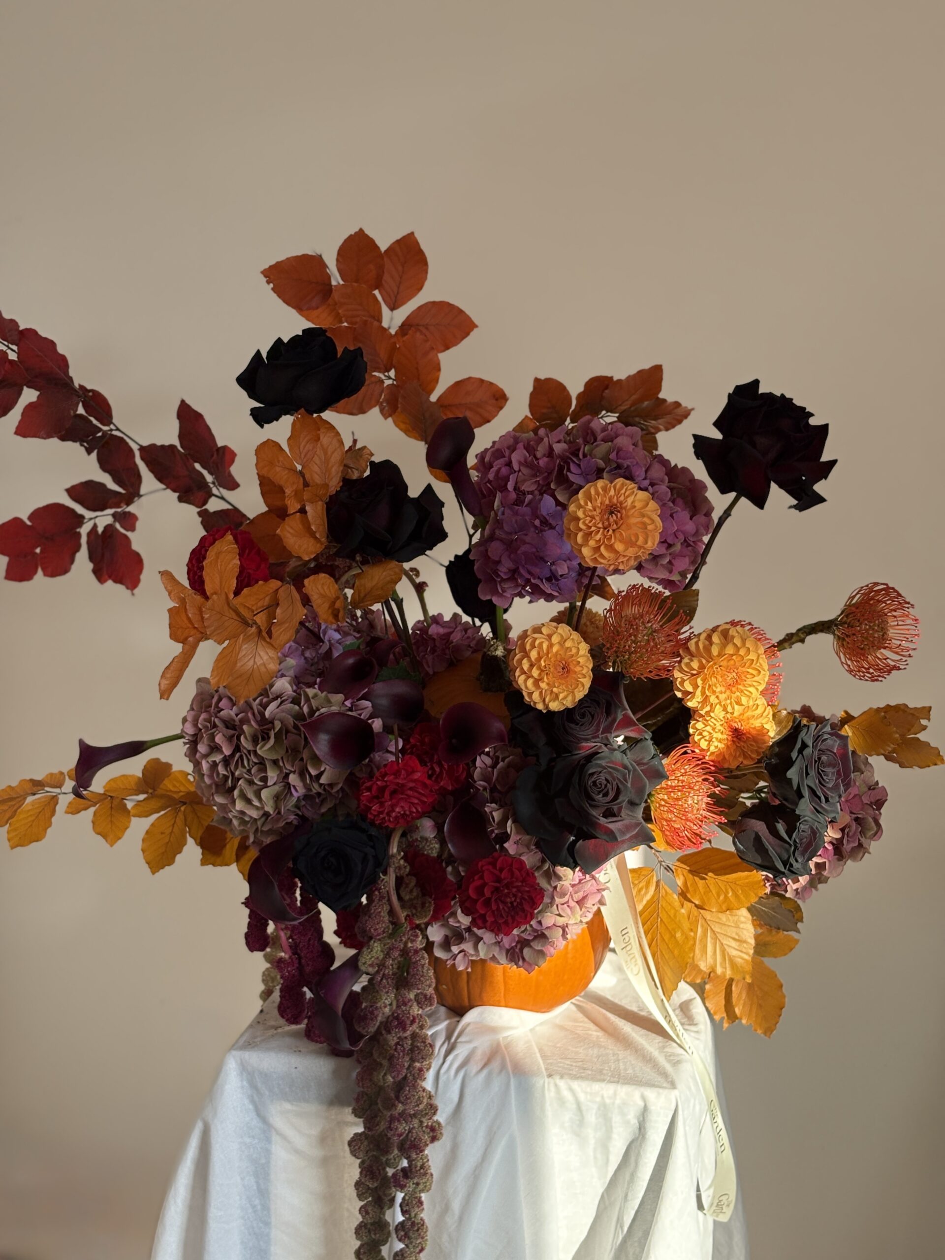 IMG_0125 Autumn Noir - Image 1