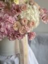 Blush Paradise - Image 2