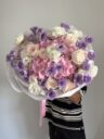 Lavender Blush