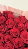 Scarlet Affair - Image 3