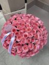 Pink Obsession