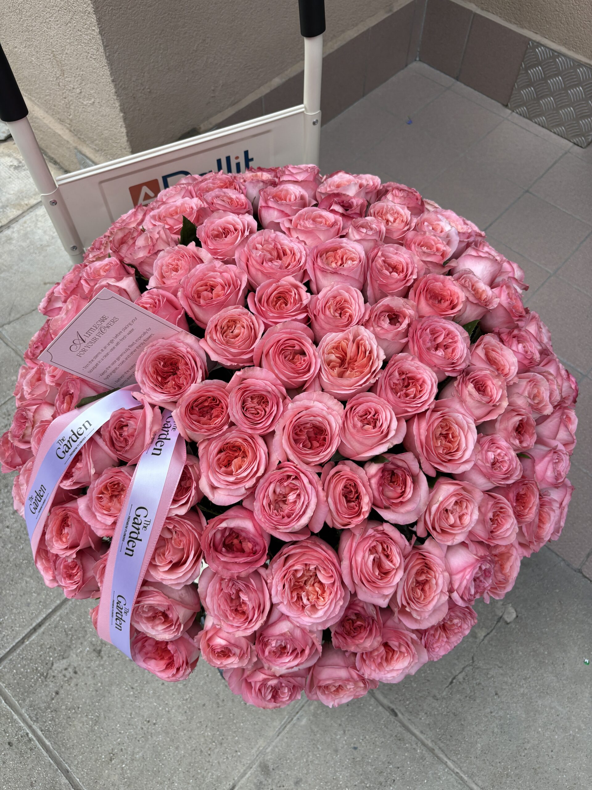 IMG_9386 Pink Obsession - Image 1