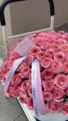 Pink Obsession - Image 3