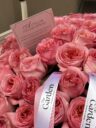 Pink Obsession - Image 2